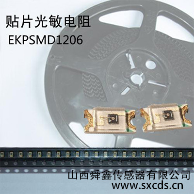 EKPSMD1206系列